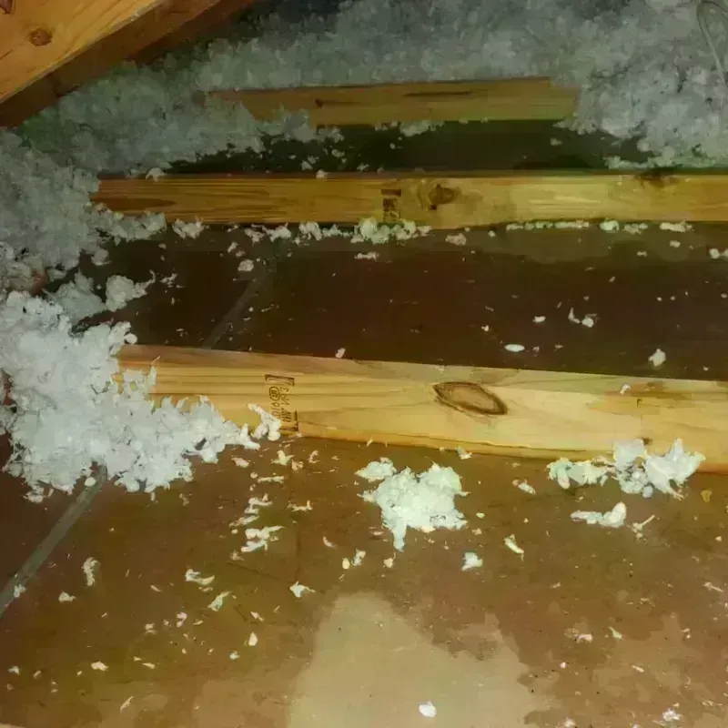 Attic Water Damage in Harrisburg, IL