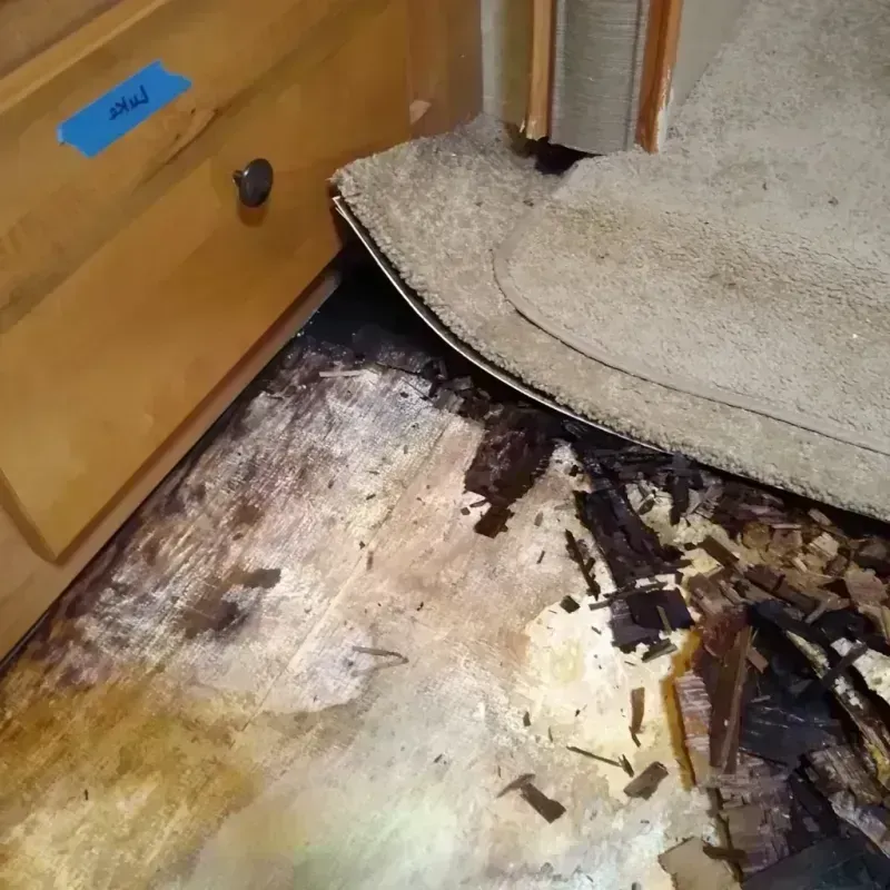 Wood Floor Water Damage in Harrisburg, IL